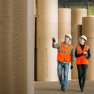 two people walking by large rolls of paper in a paper mill